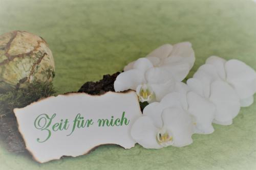 Regeneration Arbor Vital Ergotherapie